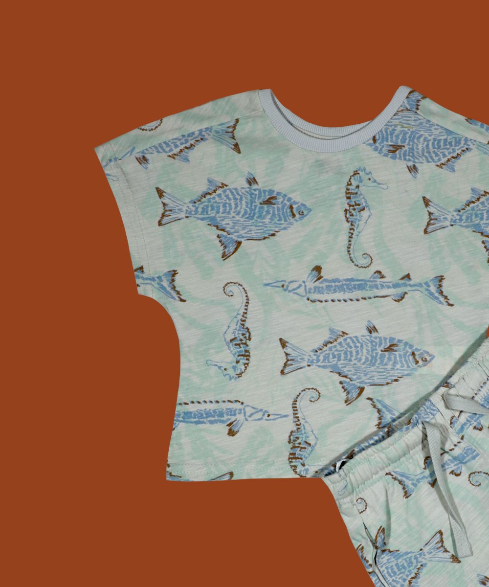Boys 2 pes Set(0/3 M to 3 Years) (98242)